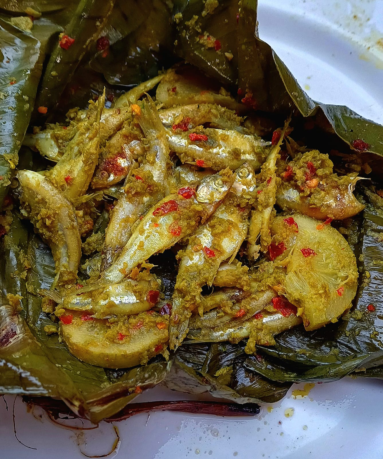 Xoru Maas Patot Diya